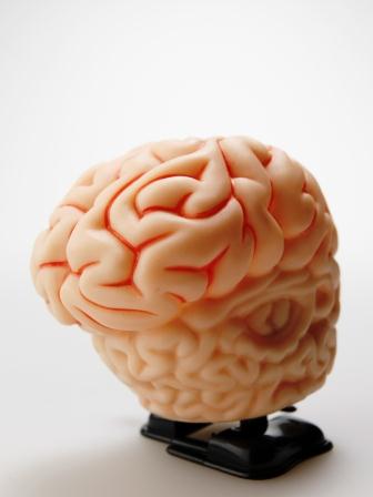 Science in India missing women’s touch